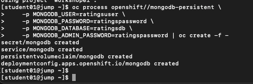 oc MongoDB